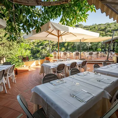 Anna فيتوفايا