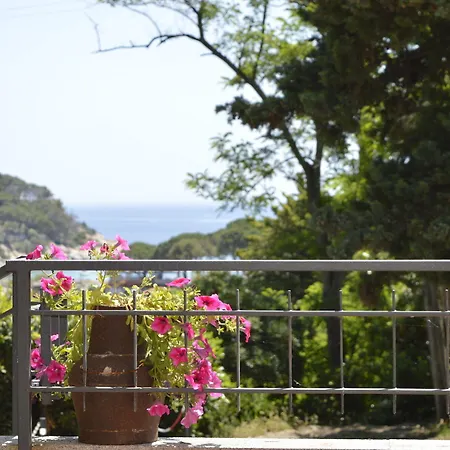 فندق Anna فيتوفايا